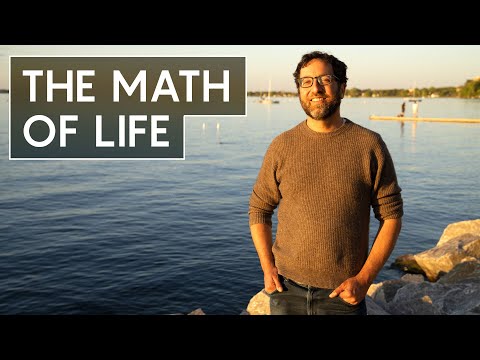 Unlocking the Hidden Power of Geometry in Everyday Life